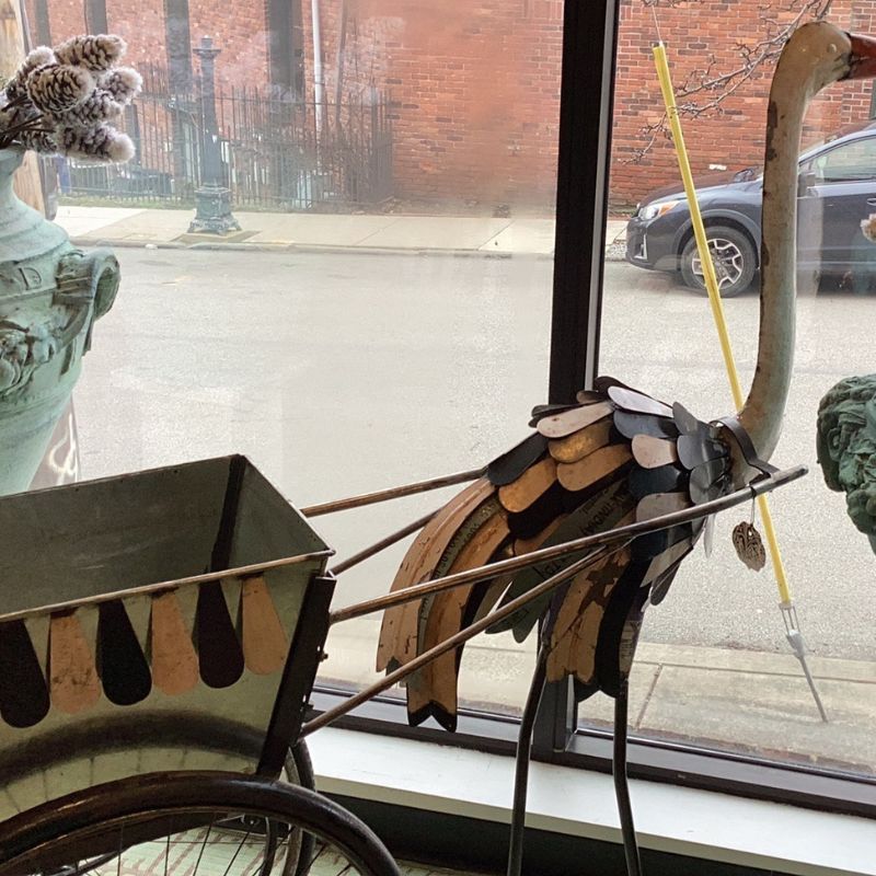 Regal Ostrich Rickshaw
