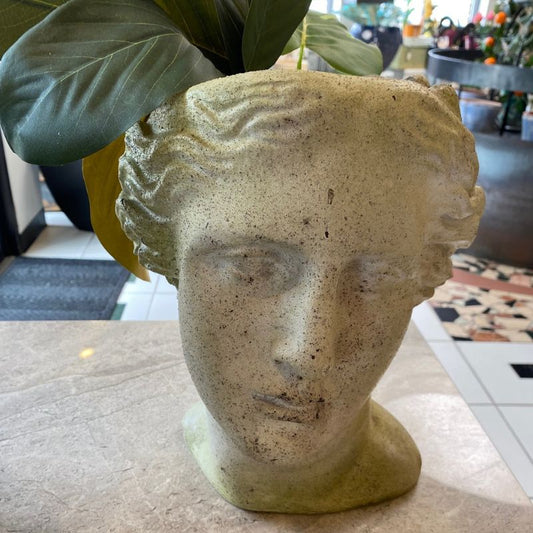 Venus Head Planter - White Moss