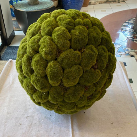 Moss Ball
