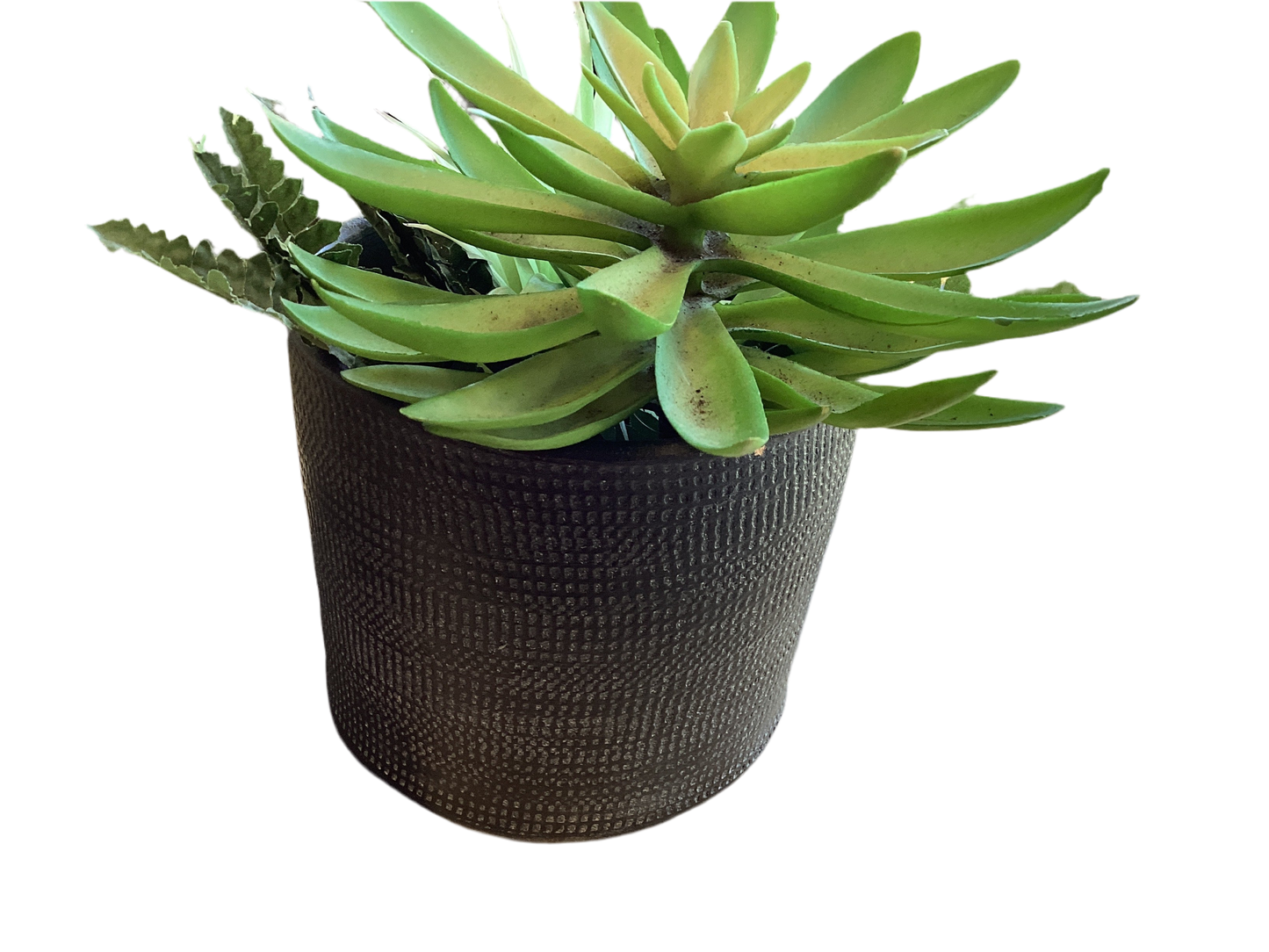 LINEN WEAVE CYLINDER SMALL BLACK