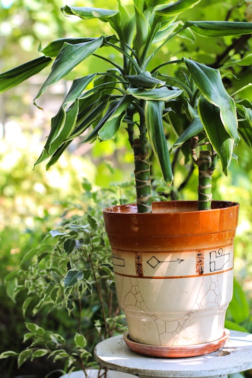 Planters