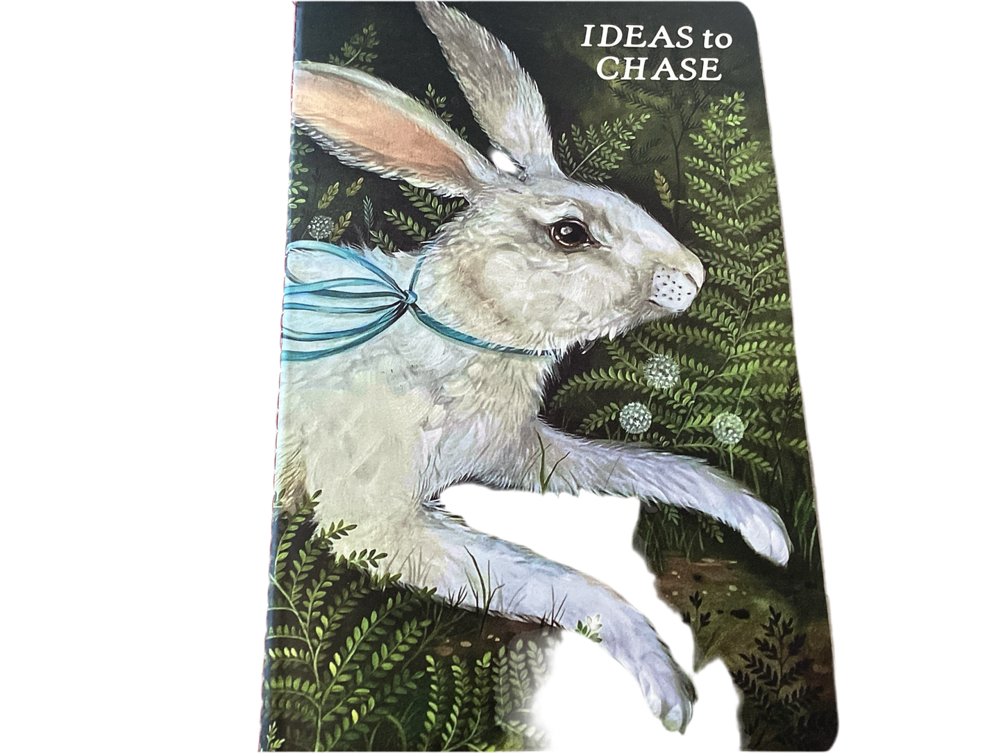RABBIT CHASE NOTEBOOK