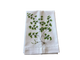 FABULOUS FERNS MULTI FERN TEA TOWEL