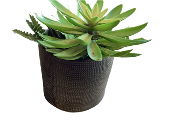 compare product LINEN WEAVE CYLINDER SMALL BLACK