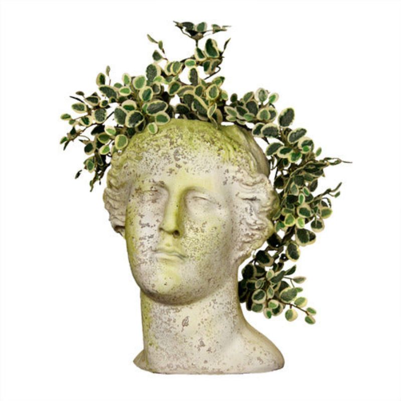 Venus Head Planter - White Moss