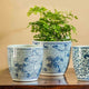 Cylinder Planter - Blue and White Mix