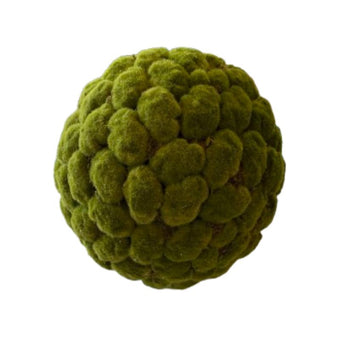 compare product Moss Ball