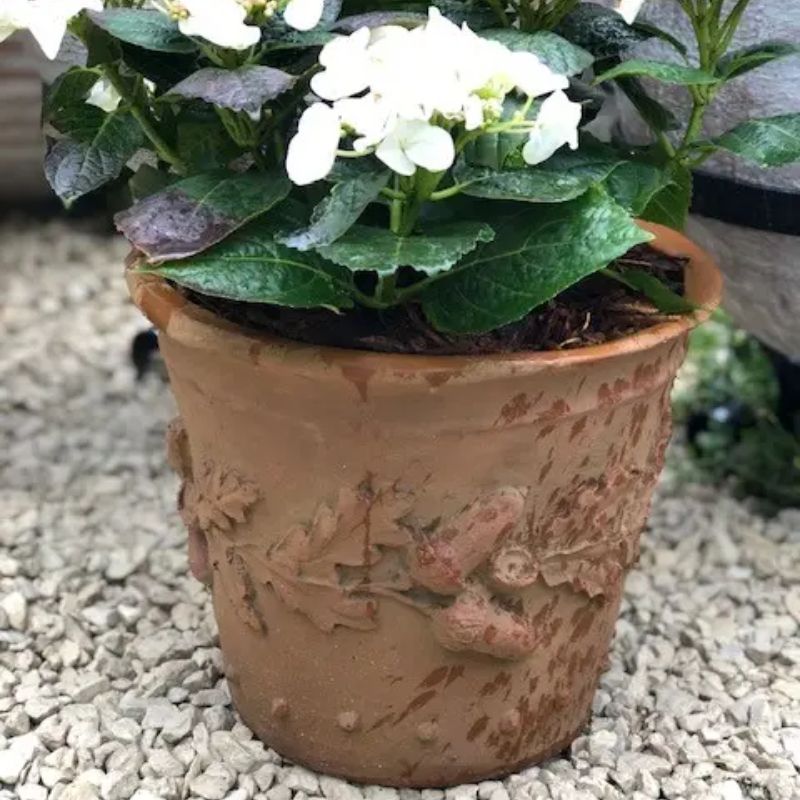 Oak Leaf Planter