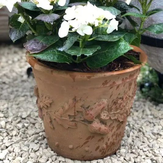 Oak Leaf Planter