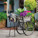 Regal Ostrich Rickshaw