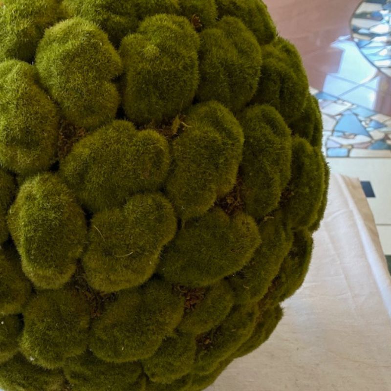 Moss Ball
