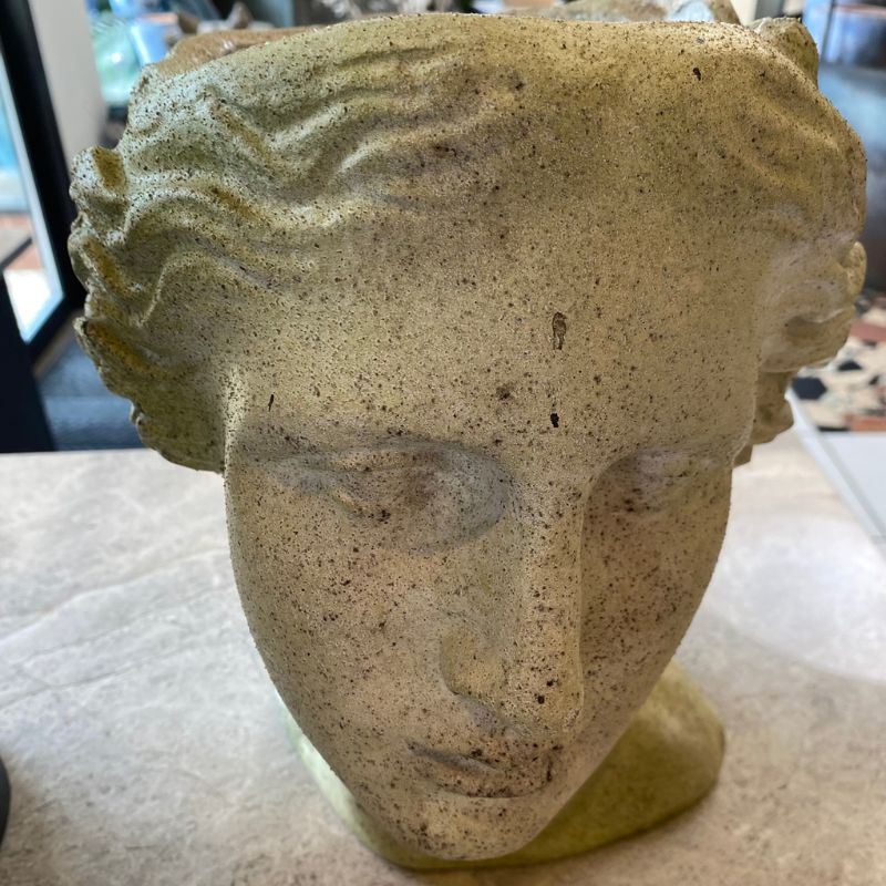 Venus Head Planter - White Moss