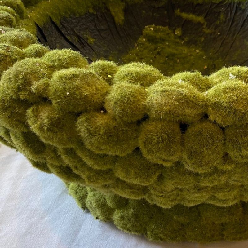 Preserved Moss Bowl