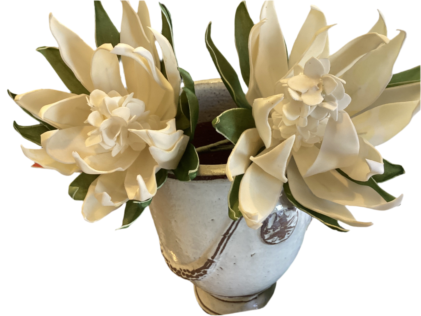 BOTANICAL FLOWER DOUBLE ARTICHOKE