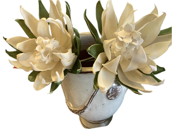 compare product BOTANICAL FLOWER DOUBLE ARTICHOKE