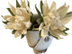 BOTANICAL FLOWER DOUBLE ARTICHOKE