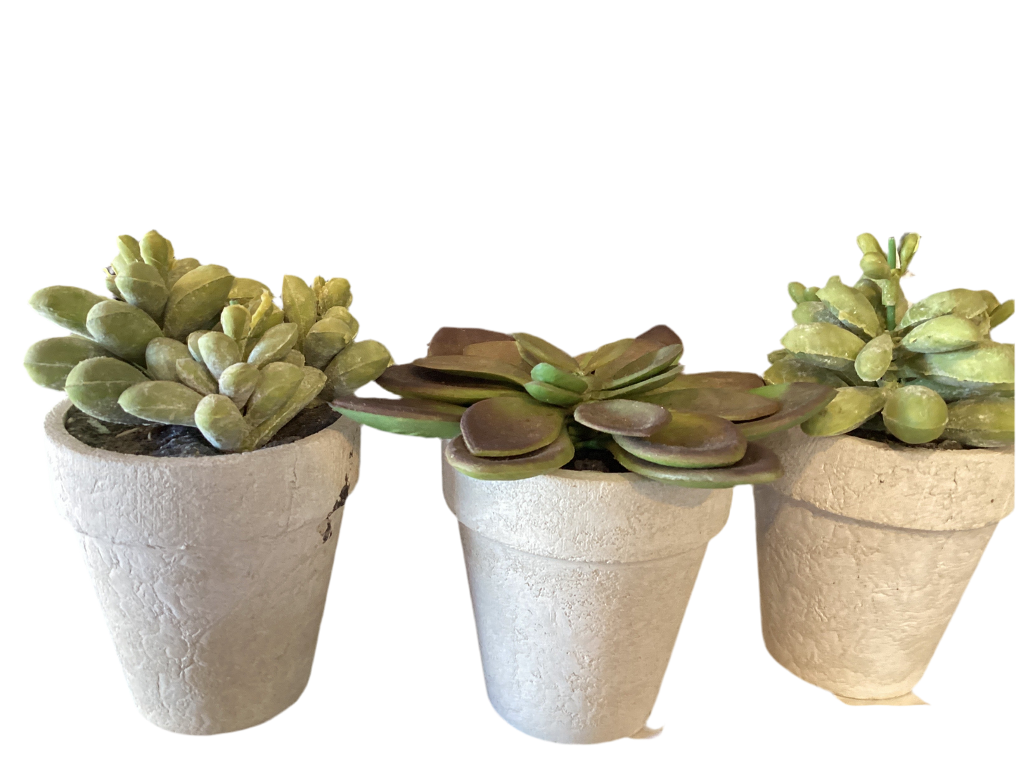 SUCCULENT POT