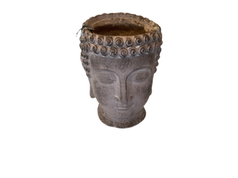 compare product BUDDAH HEAD