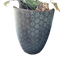 PLANTER MARGUEITE BLUE MED W/SAUCER