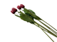 RED REAL TOUCH SINGLE TULIP