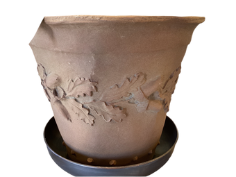 compare product PLANTER OAKLEAF LITE