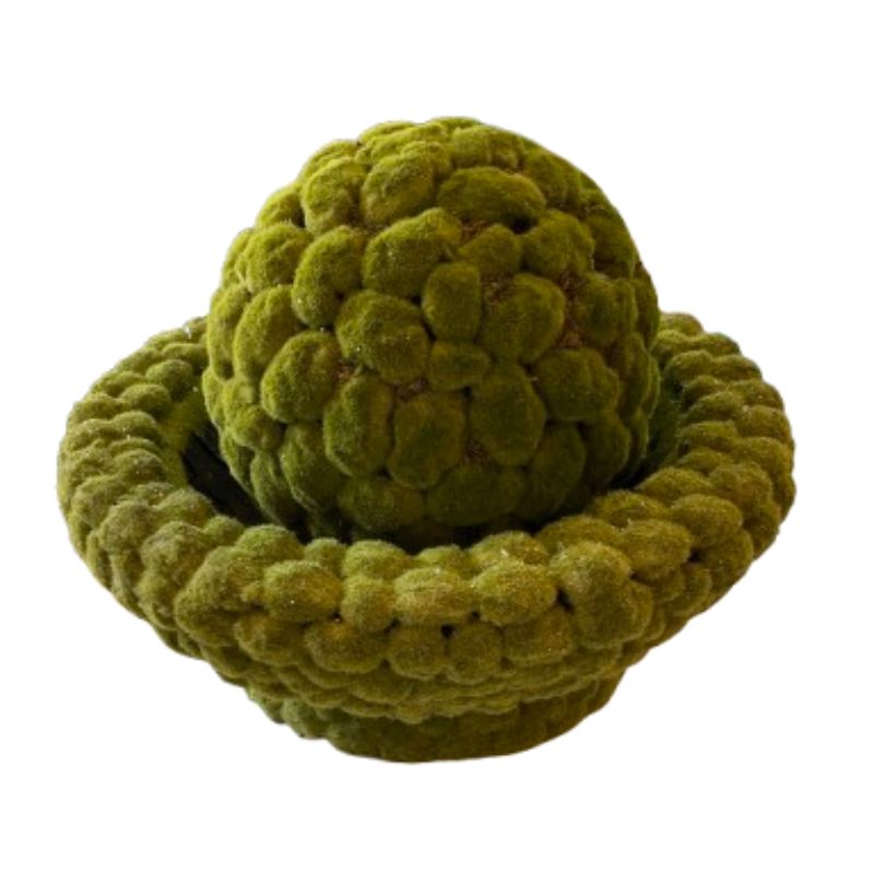 Moss Ball